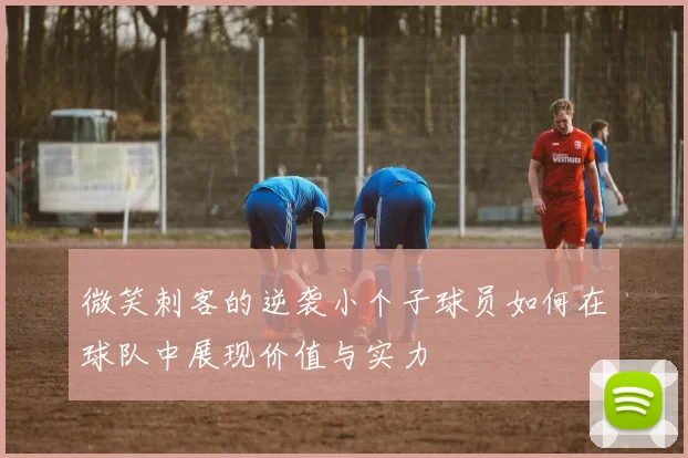 微笑刺客的逆袭小个子球员如何在球队中展现价值与实力