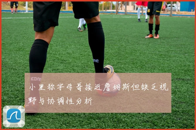 小里称字母哥接近詹姆斯但缺乏视野与协调性分析