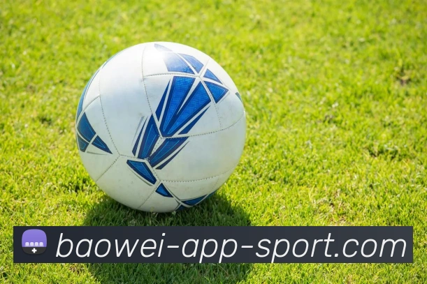 宝威体育平台生态图